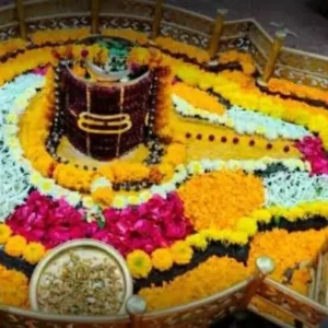 Online Rudrabhishek Puja in VaranasiVaranasi